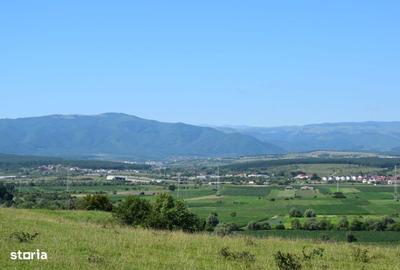 Spațiu comercial, în Bungard - 5