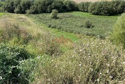 Spațiu comercial, în Central - 1