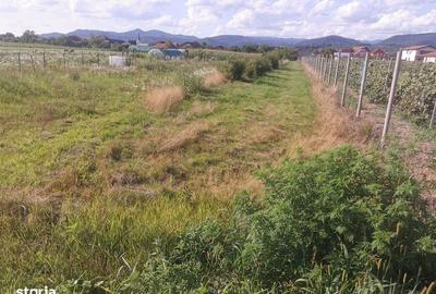 Teren de 2600 mp, în Recea - 3