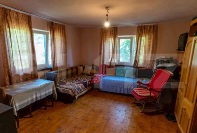 Casa de vanzare in Rovina(Branisca) - 22