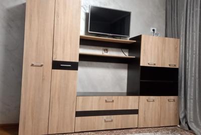 Apartament cu 2 camere, zona Tribunal - Papadie, prima inchiriere - 9