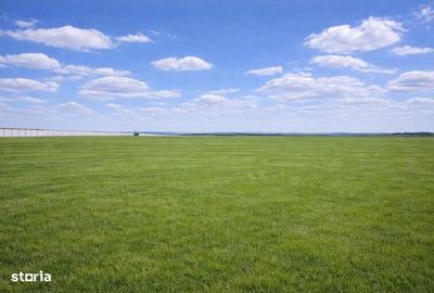 Teren de 33700 mp, în Stelnica - 3