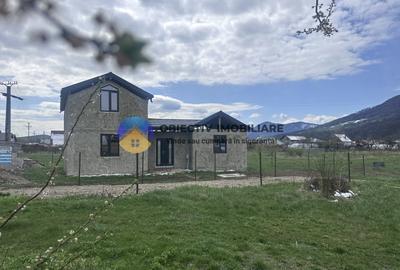 Casa str. Vestului, Piatra Neamt - 4