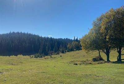 Teren Construcții de 16257 mp, în Poiana Horea - 3