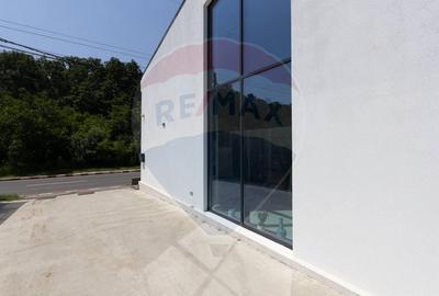 VILA de vanzare Voluntari / Strada Popasului / Autostrada / PIPERA - 9