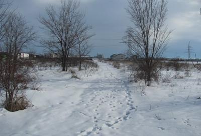 Teren Construcții intravilan de 5180 mp, în Clinceni - 13