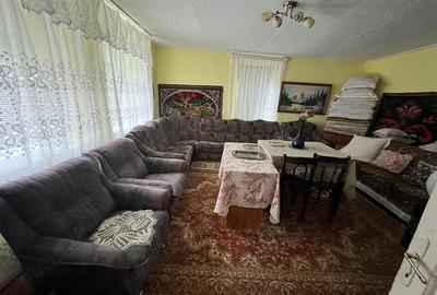 Vand Casa in sat Plopi com. Bunesti-Averesti - 6