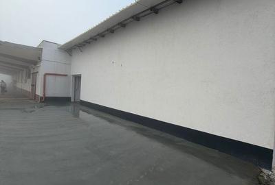 Spațiu comercial, de 1,094 mp, în Halta Traian - 11