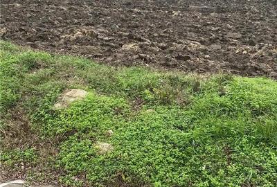 Teren Extravilan in Prahova - 1