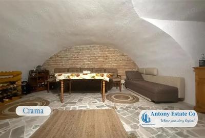 Proprietate cu crama, Ultracentral, casa de vanzare, Oradea, Bihor - 18