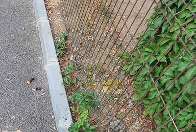 Teren de 239 mp, în Apărătorii Patriei - 6