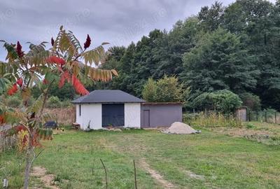 Vand teren cu anexa, Budeasa Mica - 4