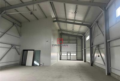 Depozit/hala/spatiu industrial Domnesti - Centura - 1
