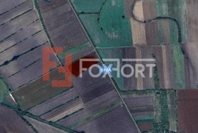 Teren agricol extravilan de 23200 mp, în Sacoșu Turcesc