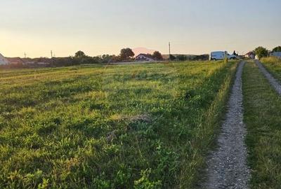 Teren Construcții intravilan de 1495 mp, în Dobreni - 26