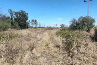 Teren de 2441 mp, în Uliești - 2