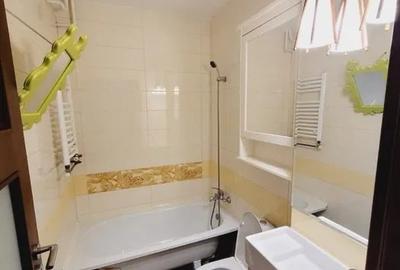 Inchiriere Garsoniera Moderna Tineretului Inchiriere Garsoniera Moderna Tineretului - 8