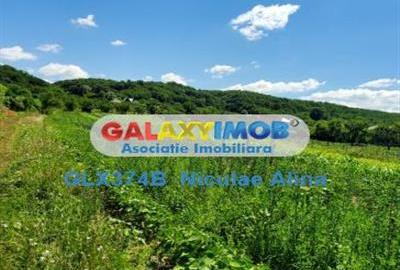 Teren Construcții intravilan de 12765 mp, în Bogați - 8