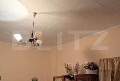 Casă cu 3 camere cu Teren 250 Mp în Central