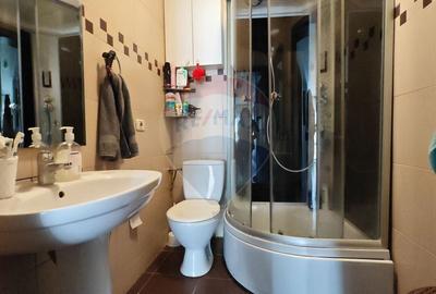 Vila tip duplex cu 5 camere de inchiriat in Pipera - 21