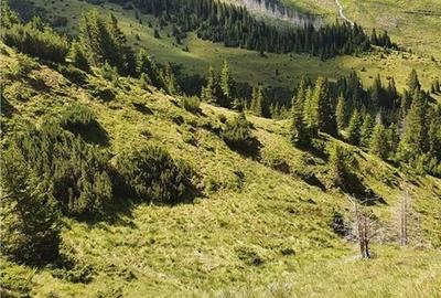 SUPER OPORTUNITATE, DE VANZARE O PROPRIETATE SPECIALA, MUNTELE VARFUL GROAPELE , - 5