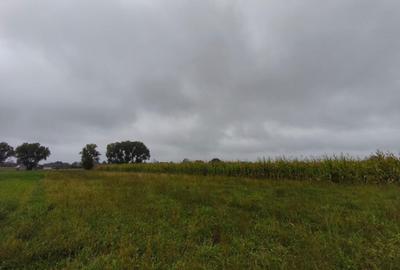 Teren intravilan, 5200mp, front 27ml, Fratautii Vechi, Radau - 1