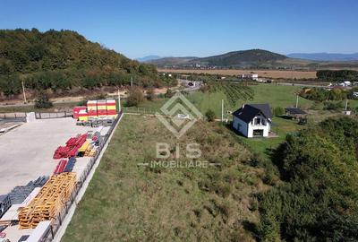 Teren Intravilan - Viisoara - 1