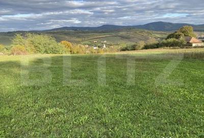 Teren de 27000 mp, în Aghireș - 3