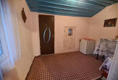 Casă cu 3 camere cu Teren 2100 Mp în Scorțaru Nou - 1