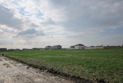 Teren Construcții intravilan de 2314 mp, în Domnești - 10
