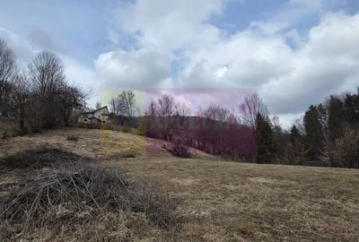 Spațiu comercial, în Secăria - 7