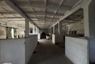 Spațiu comercial, de 1,880 mp, în Sud - 8