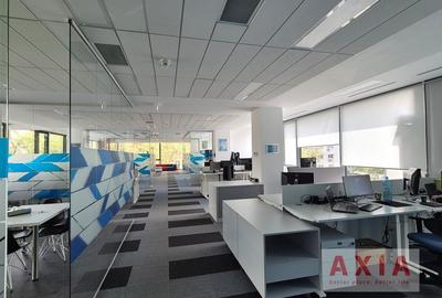 Birou, de 520 mp, în Romană - 8