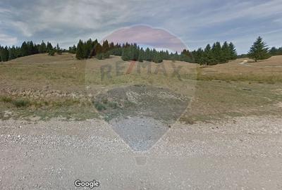 Teren intravilan de3000 / 6000 mp in Poiana Brasov - 3