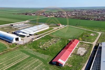 Tariverde - Ferma zootehnica functionala, 3 hectare teren intravilan! - 2