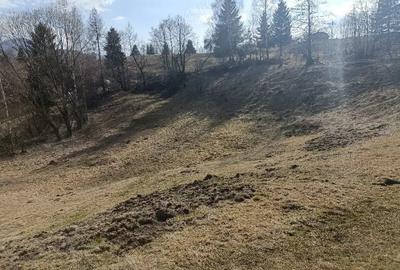 Teren de 3200 mp, în Dâmbovicioara - 4