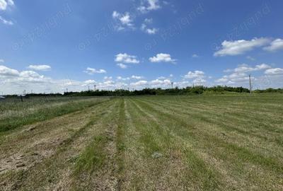 Teren de 888 mp, în Torontalului - 2