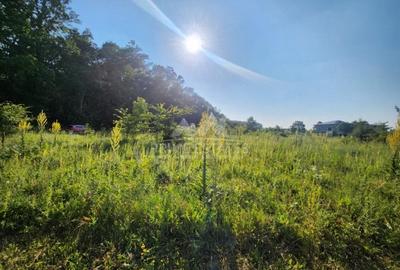 Teren Construcții intravilan de 2000 mp, în Băneasa