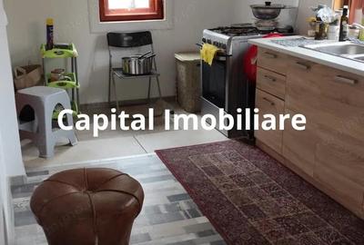 Casa Baicoi 95 mp Sc, 2578 mp teren - 14