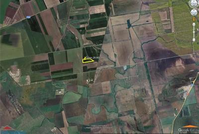 Teren de 28800 mp aproape de drumul Arad - Iratos - 2
