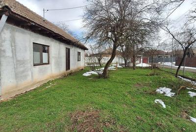 Casă cu 3 camere cu Teren 2420 Mp în Central - 3