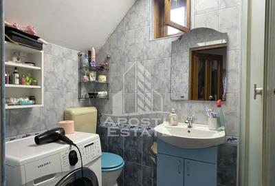 Casă cu 3 camere cu Teren 987 Mp în Iosefin - 18