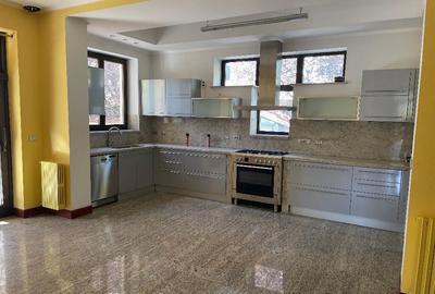 Vila Sisesti Eugen Brote New 2025 - 4