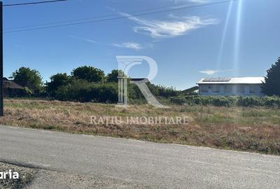 Spațiu comercial, de 1,800 mp, în Sântandrei - 2
