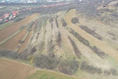 Teren agricol de 5500 mp, în Ciugud - 2