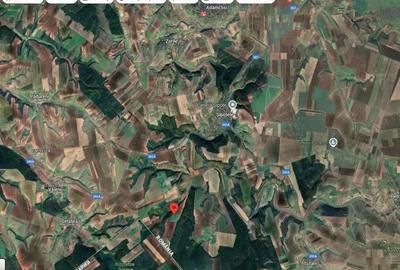 Teren cota parte 1/12 Deleni, ID: R2662164 - 2