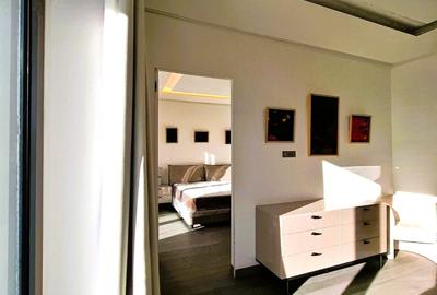 Penthouse 5 camere Kiseleff - 10