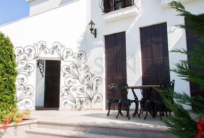 REV2000904 Vila spectaculoasa - zona Cernica - 20