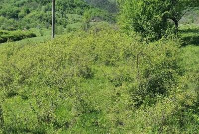 Teren de 5850 mp, în Crușovița - 3