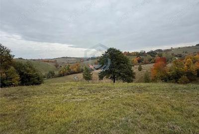 Teren intravilan 17,265 mp in Tomnatic, comuna Vadu Crisului - 7